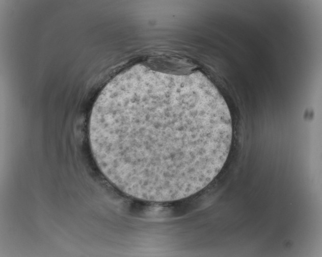 X0000112730319200910011203