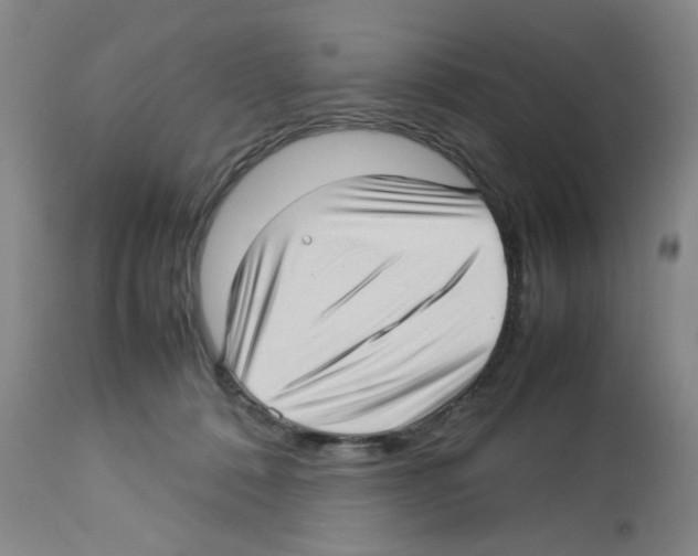 X0000112730320200910011203