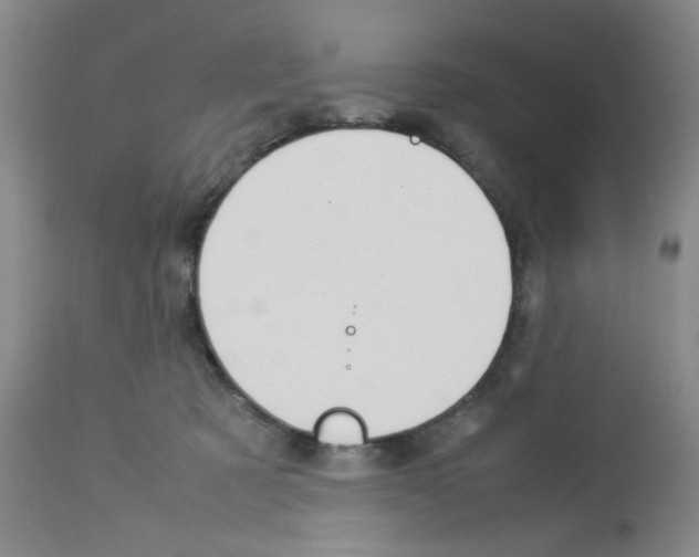 X0000112730321200910011203