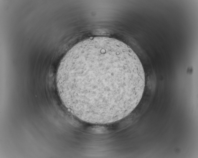X0000112730322200910011203