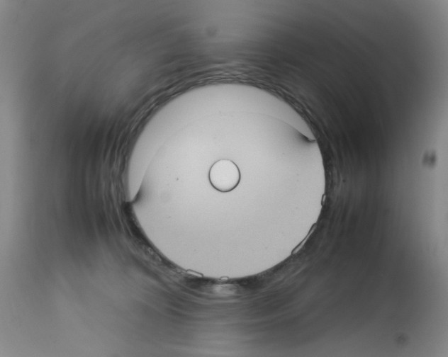 X0000112730324200910011203