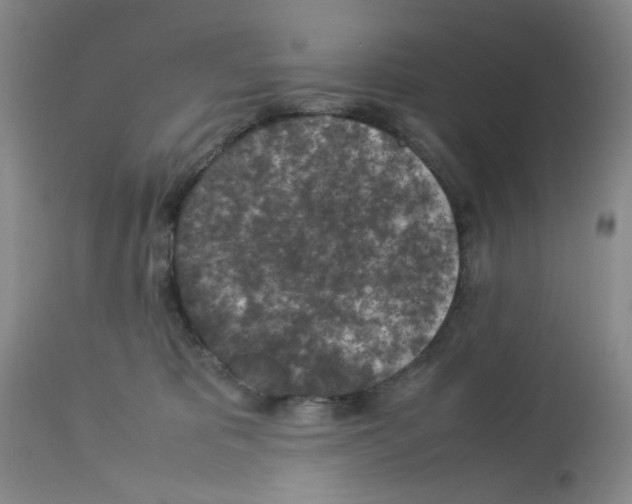 X0000112730325200910011203