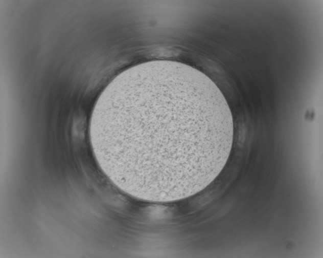 X0000112730326200910011203