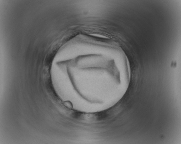 X0000112730327200910011203