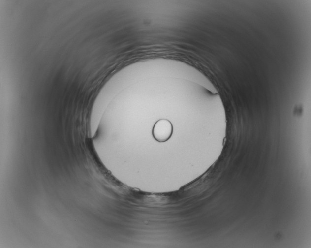 X0000112730328200910011203
