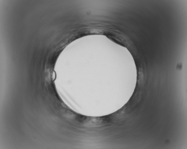 X0000112730329200910011203