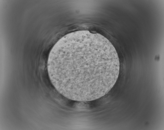 X0000112730331200910011203