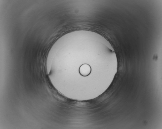 X0000112730332200910011203