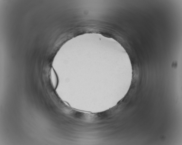 X0000112730333200910011203