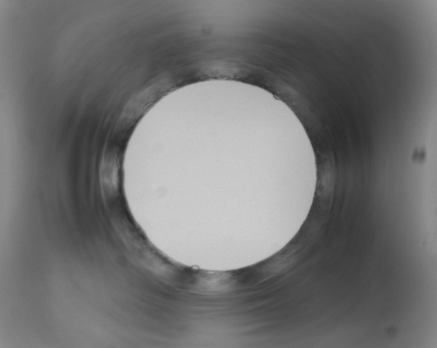 X0000112730334200910011203