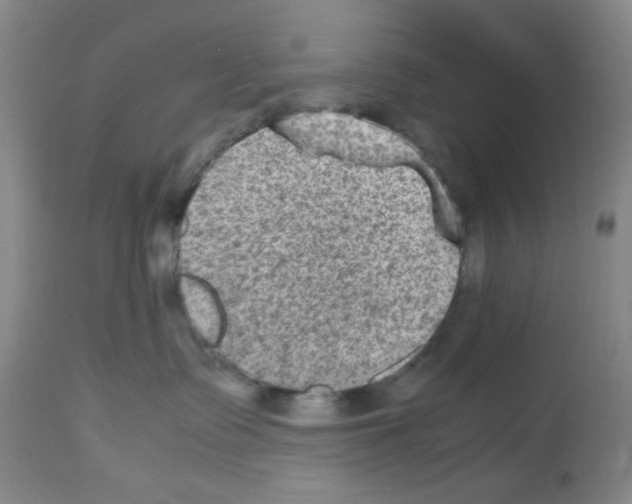 X0000112730335200910011203