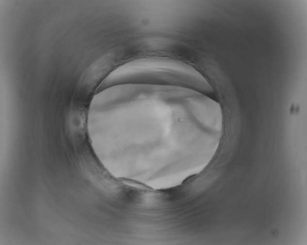 X0000112730336200910011203