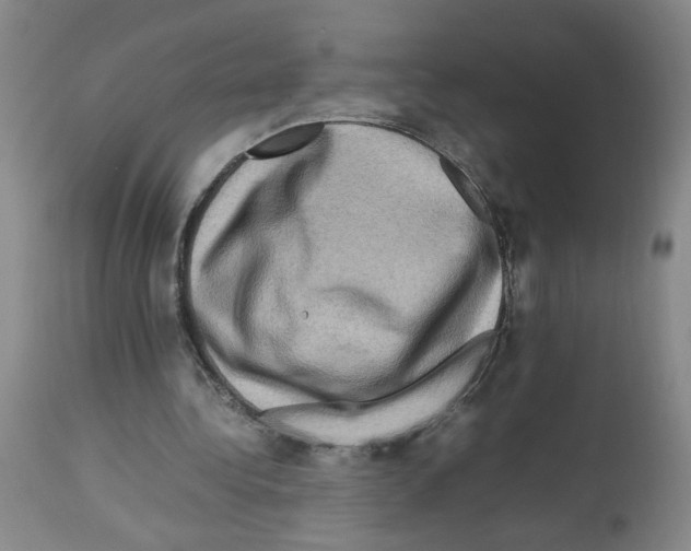 X0000112730340200910011202