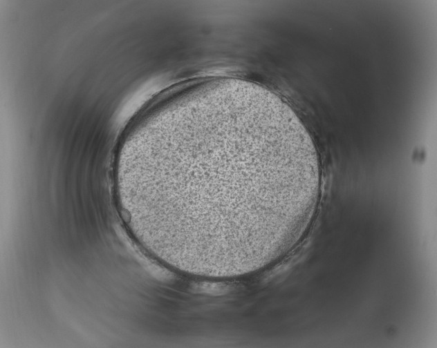 X0000112730341200910011202