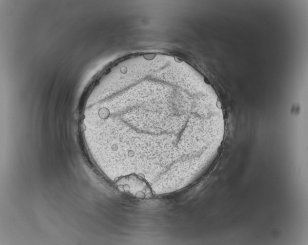 X0000112730342200910011202