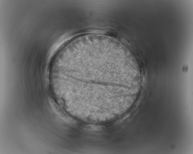 X0000112730343200910011202