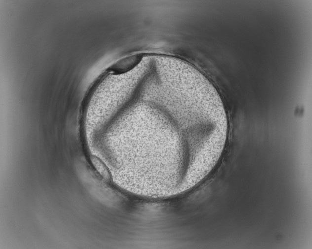 X0000112730344200910011202