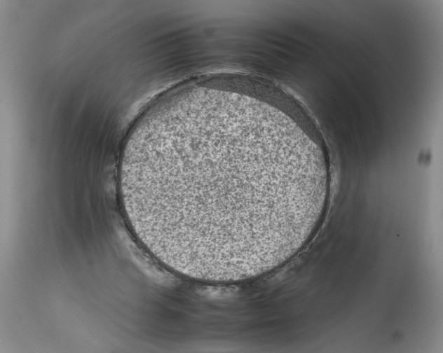 X0000112730345200910011202