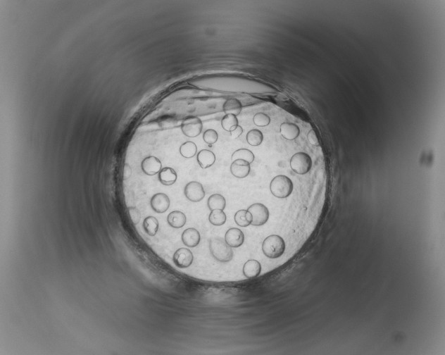 X0000112730346200910011202