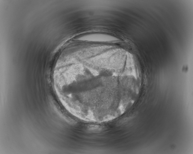 X0000112730347200910011202
