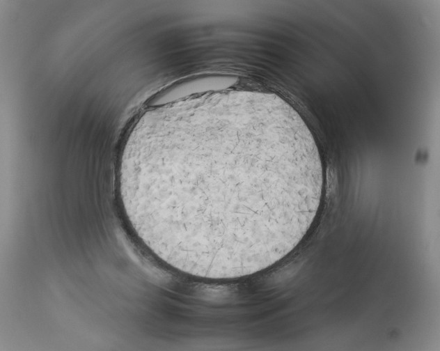 X0000112730349200910011202
