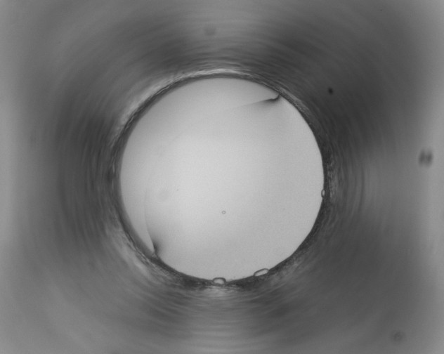 X0000112730350200910011202