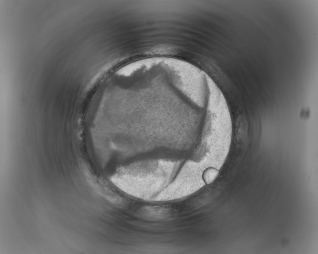 X0000112730351200910011202