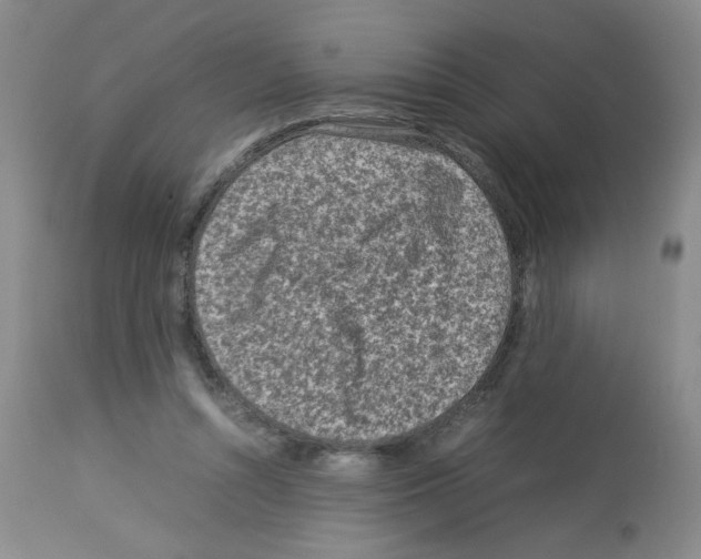 X0000112730352200910011202