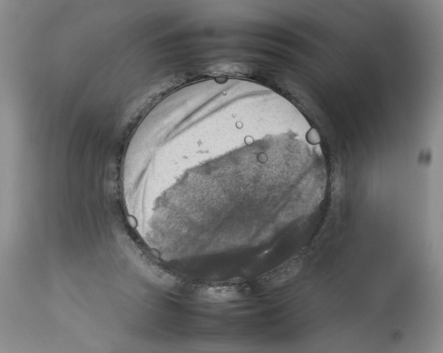 X0000112730353200910011202