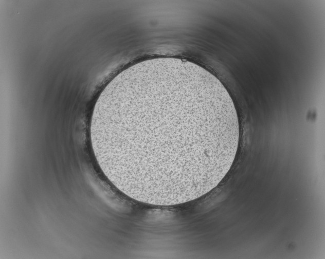 X0000112730354200910011202