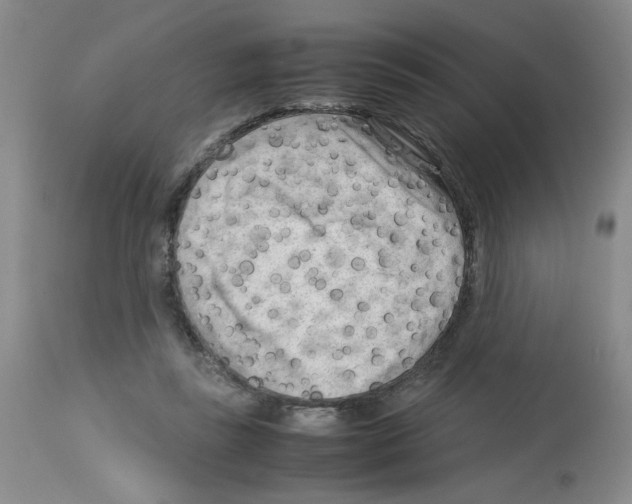 X0000112730355200910011202
