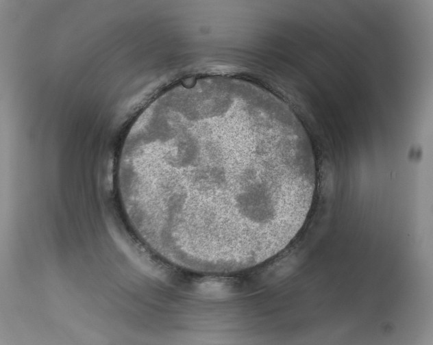 X0000112730358200910011202