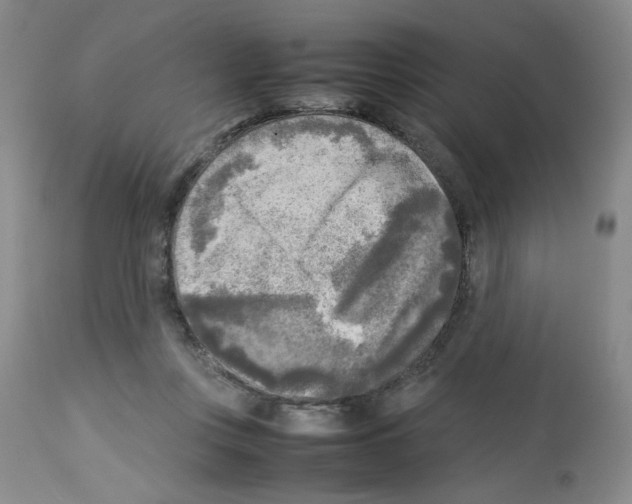 X0000112730359200910011202
