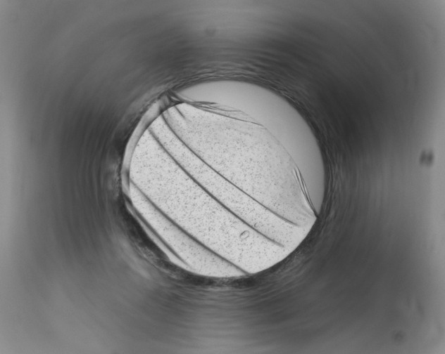 X0000112730360200910011202