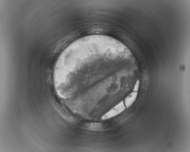 X0000112730361200910011202