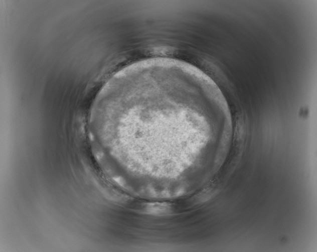 X0000112730363200910011202