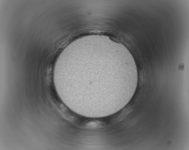 X0000112730364200910011202