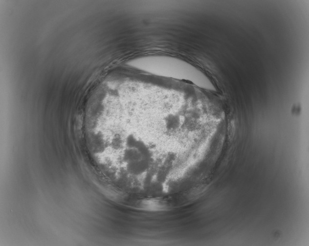 X0000112730365200910011202