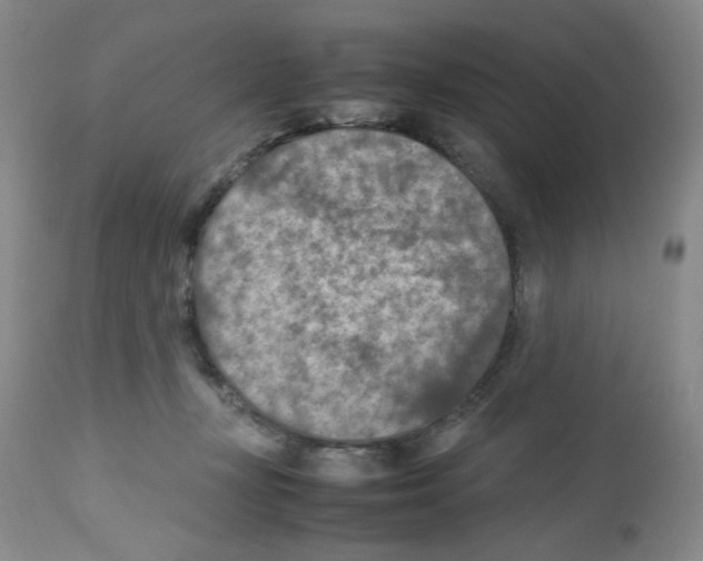 X0000112730367200910011202