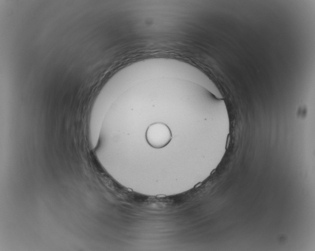 X0000112730368200910011203