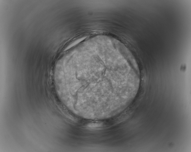 X0000112730369200910011203