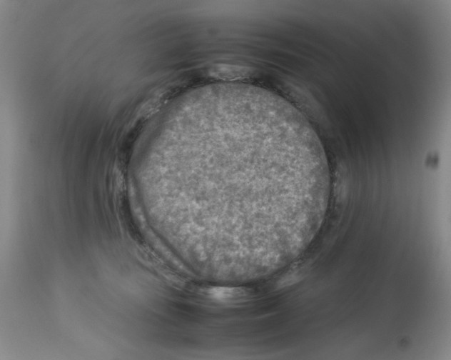 X0000112730371200910011203