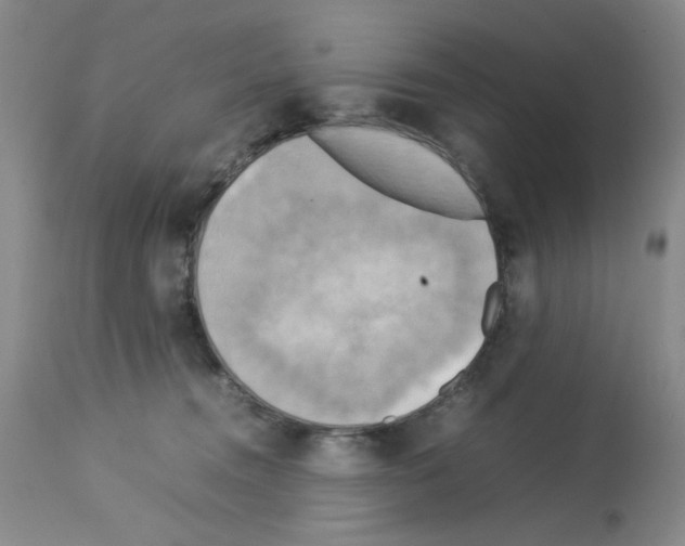 X0000112730372200910011203