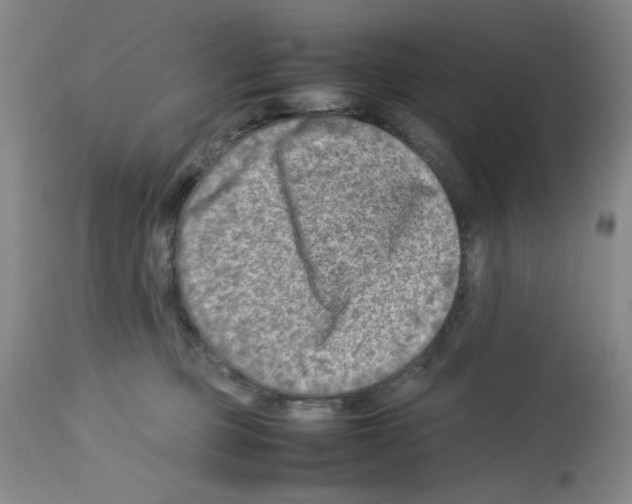 X0000112730373200910011203