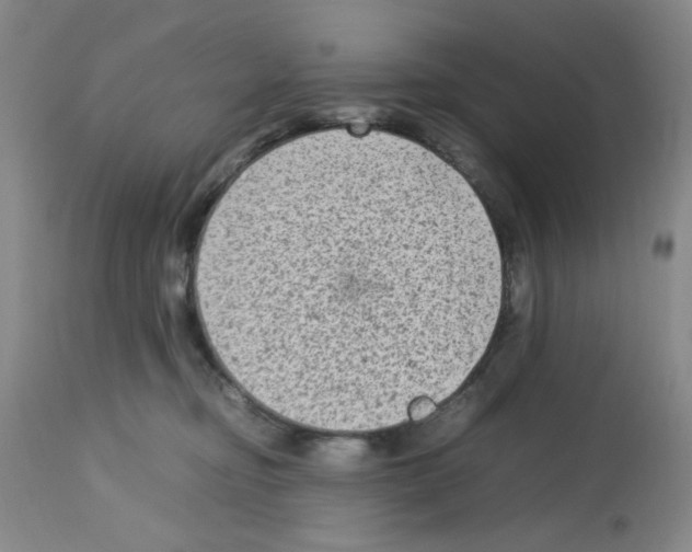 X0000112730374200910011203