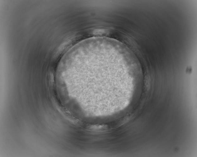 X0000112730375200910011203
