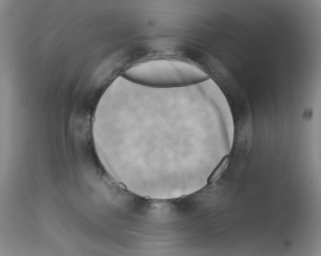 X0000112730376200910011203