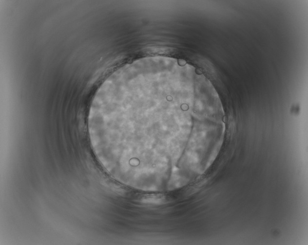 X0000112730377200910011203