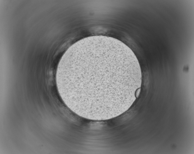 X0000112730378200910011203