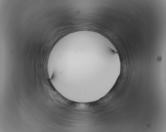 X0000112730380200910011203